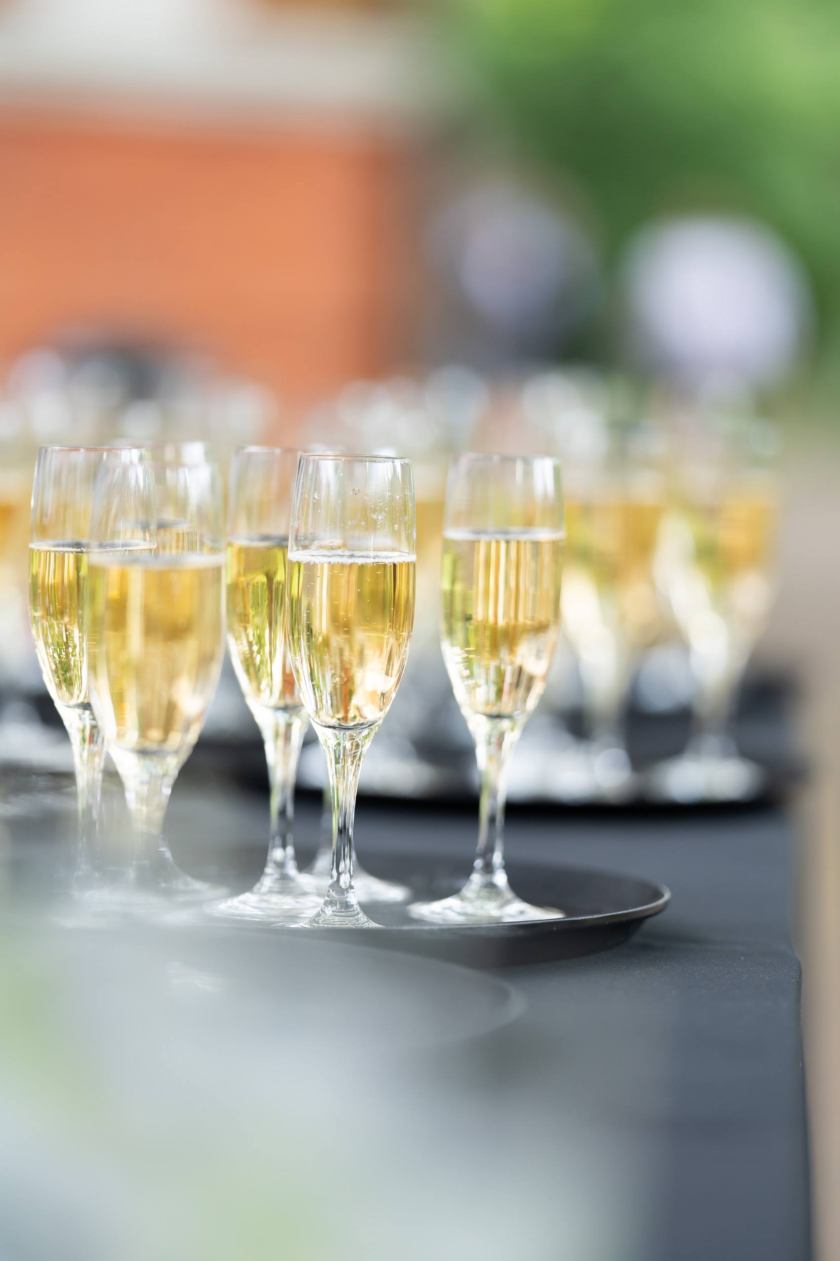 Drinks Reception